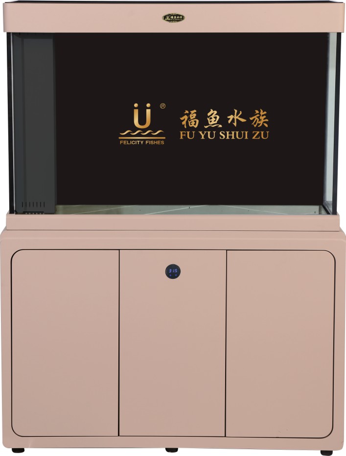 B 磺